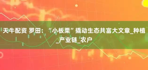 天牛配资 罗田：“小板栗”撬动生态共富大文章_种植_产业链_农户