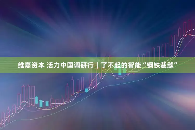 维嘉资本 活力中国调研行｜了不起的智能“钢铁裁缝”
